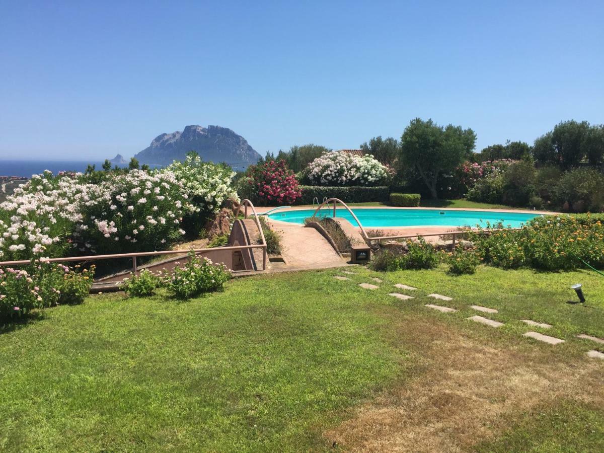 Villa Kate B&B Porto San Paolo  Esterno foto