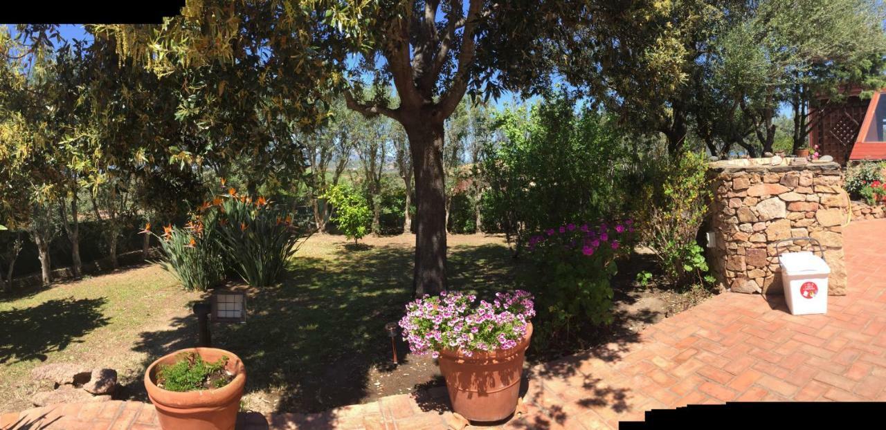 Villa Kate B&B Porto San Paolo  Esterno foto